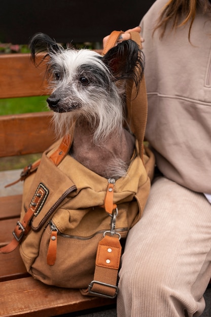 Gratis foto vooraanzicht vrouw met puppy in tas