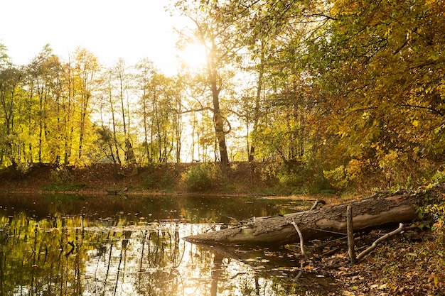 Vreedzaam landschap van moeder natuur