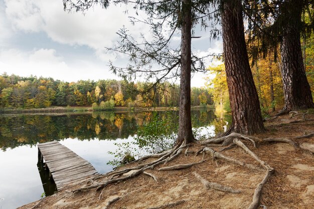 Vreedzaam landschap van moeder natuur