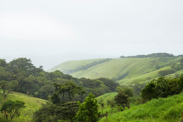 Vreedzame groene berg in tropisch Costa Rica