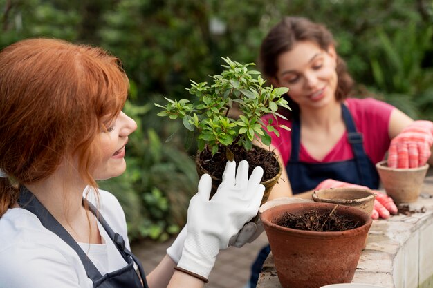 Vrienden die in een kas voor hun planten zorgen