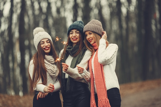 Vrienden in een winterpark. Meisjes in een gebreide hoed. Vrouwen met sterretjes.