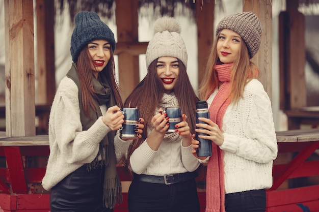 Vrienden in een winterpark. Meisjes in een gebreide hoed. Vrouwen met thermoskan en thee.