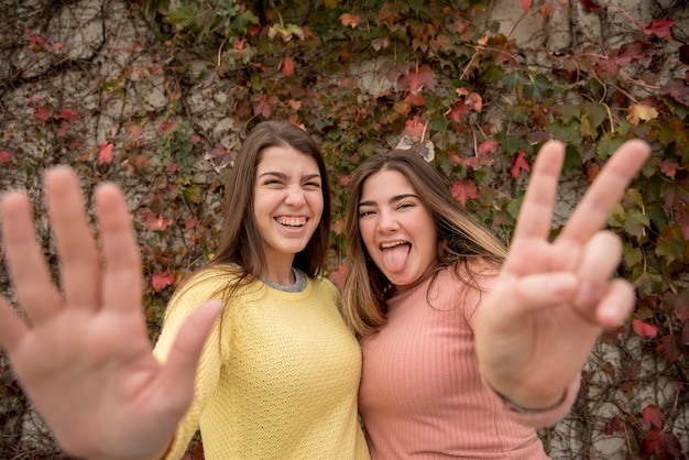 Gratis foto vriendschapsconcept met twee meisjes in het park