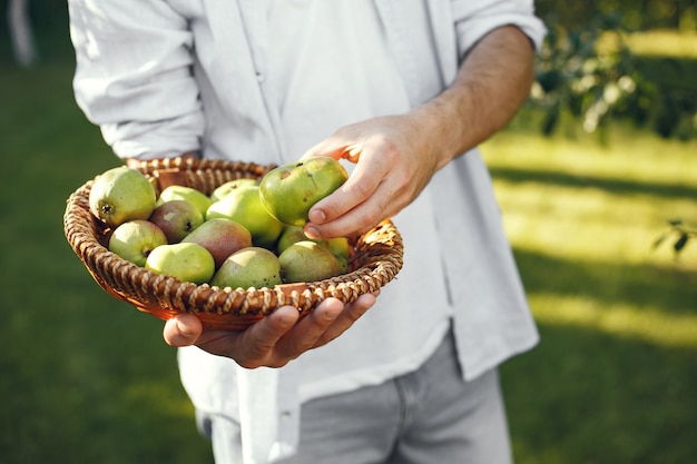 Vrolijke boer met biologische appels in de tuin. groene vruchten in rieten mand.