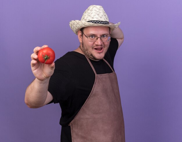 Vrolijke jonge mannelijke tuinman met een tuinhoed die tomaat uithoudt op camera geïsoleerd op een blauwe muur met kopieerruimte