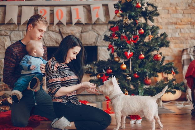 Gratis foto vrouw aaien de hond, terwijl haar man houdt de baby in haar armen op kerst