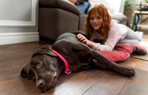 Vrouw aaien hond close-up