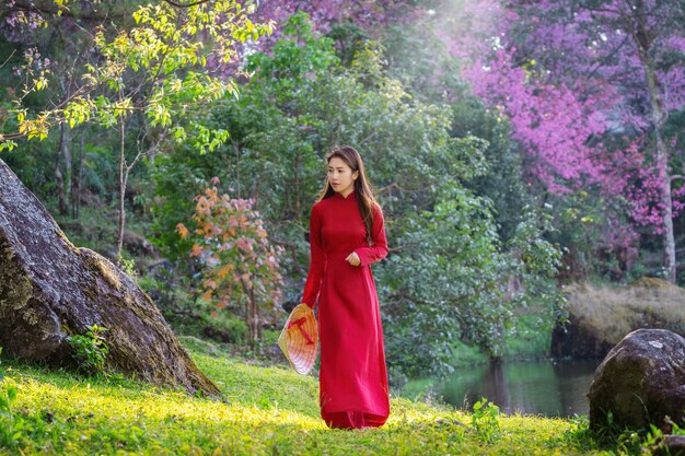 Vrouw die de cultuur van Vietnam traditioneel in het park van de kersenbloesem draagt.