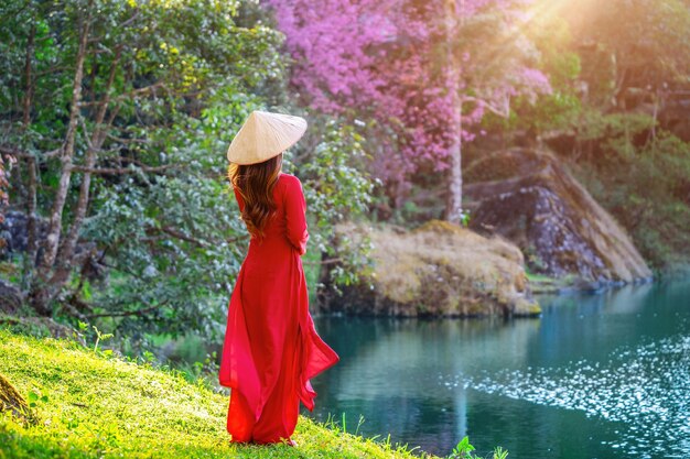 Vrouw die de cultuur van Vietnam traditioneel in het park van de kersenbloesem draagt.