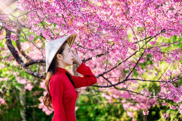 Vrouw die de cultuur van Vietnam traditioneel in het park van de kersenbloesem draagt.