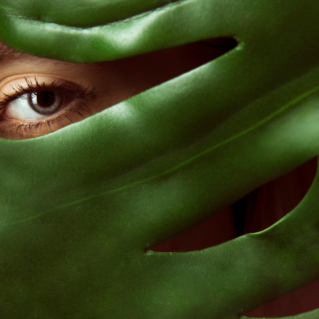 Vrouw die gezicht behandelt met groen blad