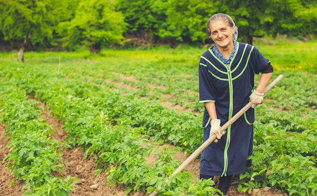 Vrouw die groenten planten en in het landbouwbedrijf met materiaal glimlachen.
