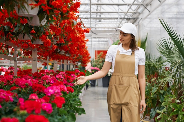 Vrouw die in schort de groei van bloemen bij oranjerie controleert