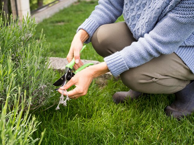 Vrouw die sommige installaties in haar tuin snijdt