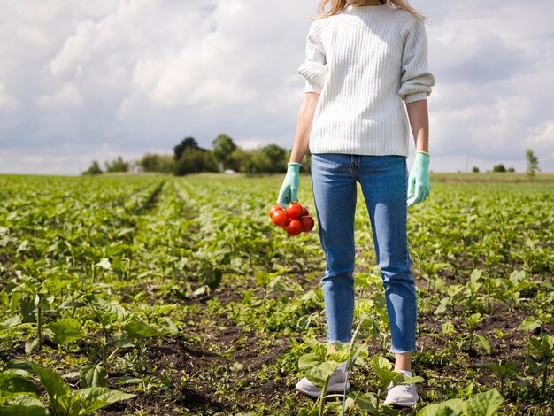 Vrouw die sommige tomaten met exemplaarruimte houdt