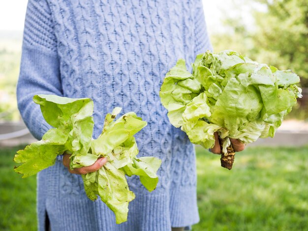 Vrouw die verse groene kool houdt