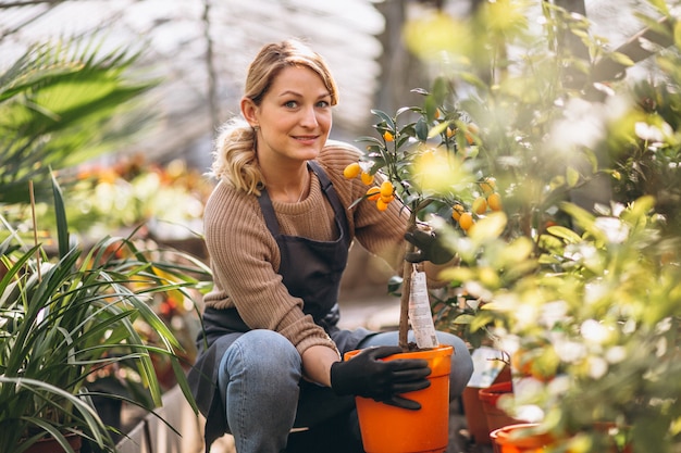 Vrouw die voor planten in een serre zorgen