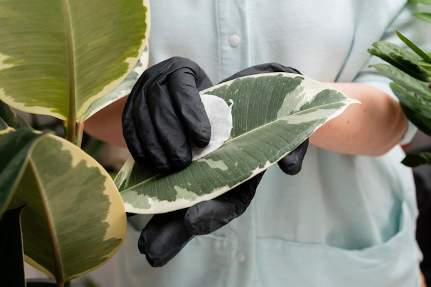 Vrouw groeiende planten close-up