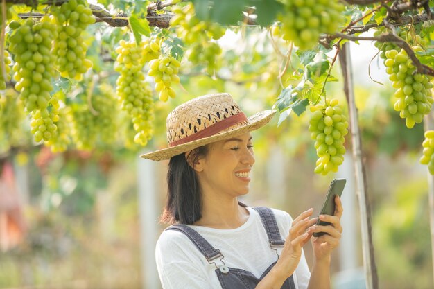 Vrouw in de tuin met behulp van mobiele telefoon om bestellingen voor haar druif op te nemen.