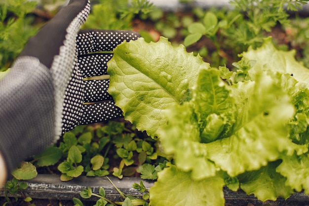 Vrouw in een hoed die in een tuin werkt