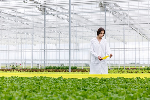 Vrouw in een laboratoriumrobe met groene salade die zich in een serre bevindt