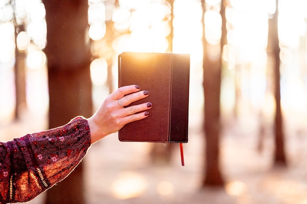 Gratis foto vrouw met een boek in het bos