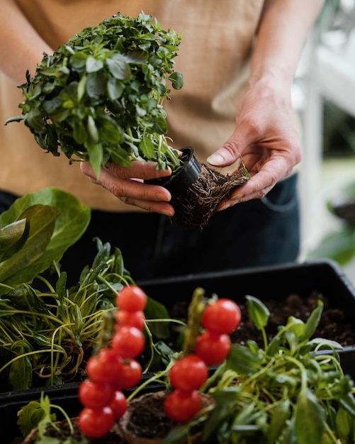 Vrouw met plant pot met externe wortels