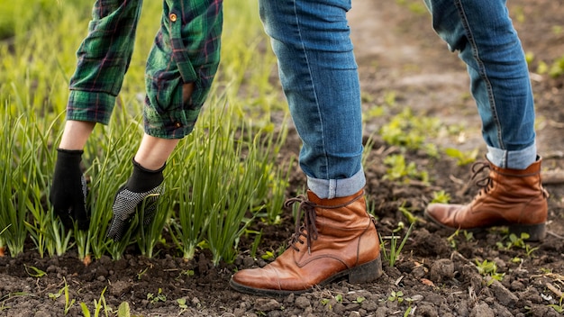 Gratis foto vrouw oogsten van groenten