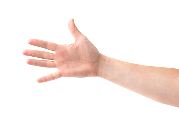 Vrouw open hand en vijf vingers geïsoleerd op een witte achtergrond