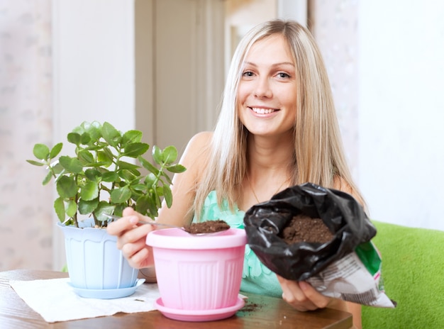 Vrouw transplantaties Kalanchoe plant in bloempot