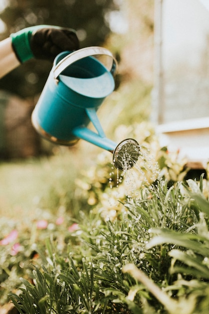 Vrouw tuinman plant in de tuin water te geven