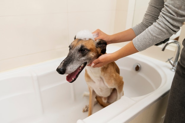 Gratis foto vrouw wassen hond zijaanzicht