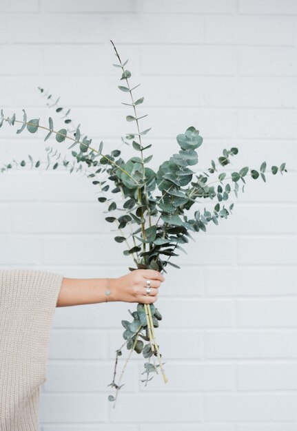 Vrouwelijke hand met een boeket van mooie kamerplanten