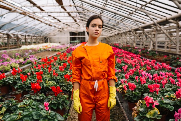 Vrouwelijke tuinman die zich dichtbij roze en rode cyclaambloemen bevindt