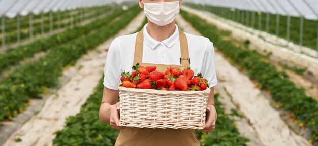 Vrouwelijke tuinman in masker met mand aardbeien