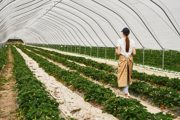 Vrouwelijke tuinman in schort die bij aardbeienaanplanting loopt