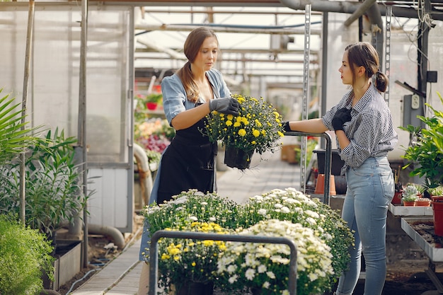 Vrouwen die in een kas werken met bloempotten