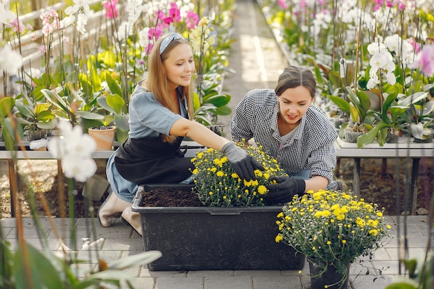 Vrouwen die in een kas werken met bloempotten