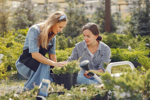 Vrouwen die in een kas werken met bloempotten