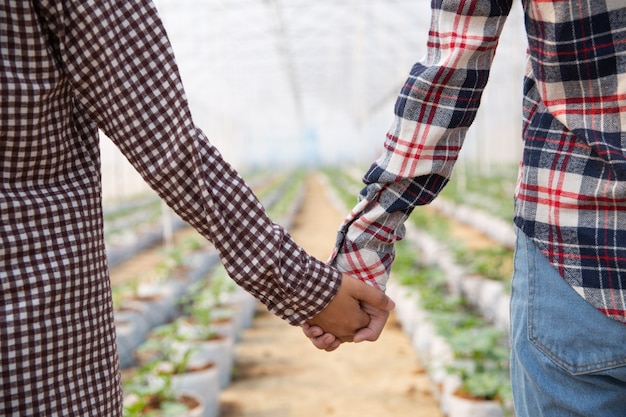 Vrouwen hand in hand in een meloen plantage