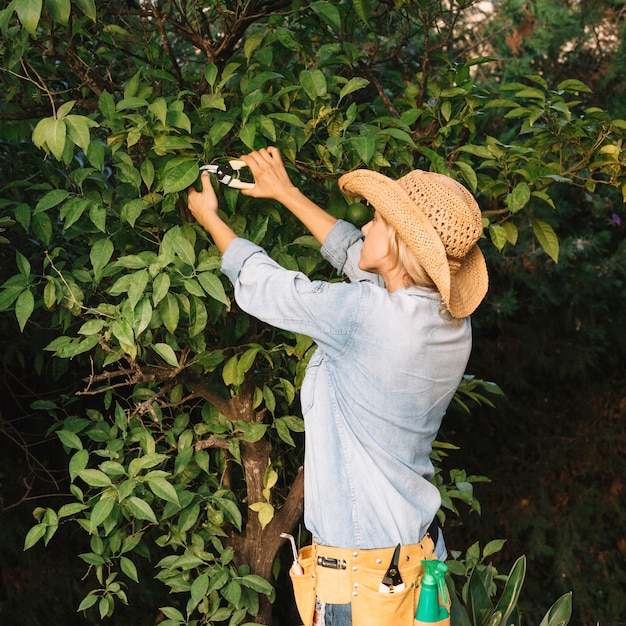 Gratis foto vrouwen scherpe bladeren van boom