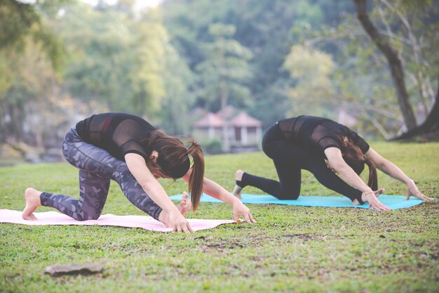 Vrouwen spelen yoga in de sportschool. Het uitoefenen.