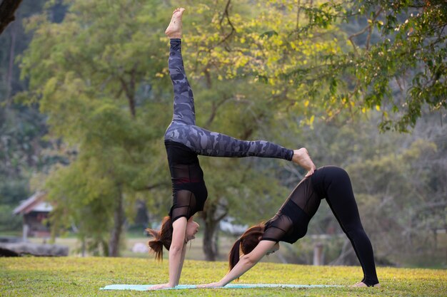 Vrouwen spelen yoga in de sportschool. Het uitoefenen.