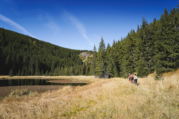 Wandelaars op een pad langs een schilderachtig landschap met bergen, bomen en een meer