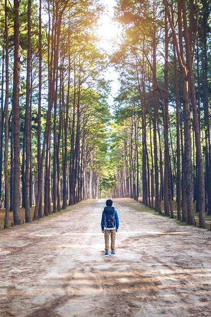 Wandelende man met rugzak wandelen in het bos.