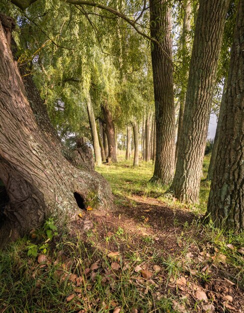 Wandelpaden verkennen