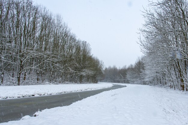 Waterstroom in het midden van besneeuwde velden met bomen bedekt met sneeuw