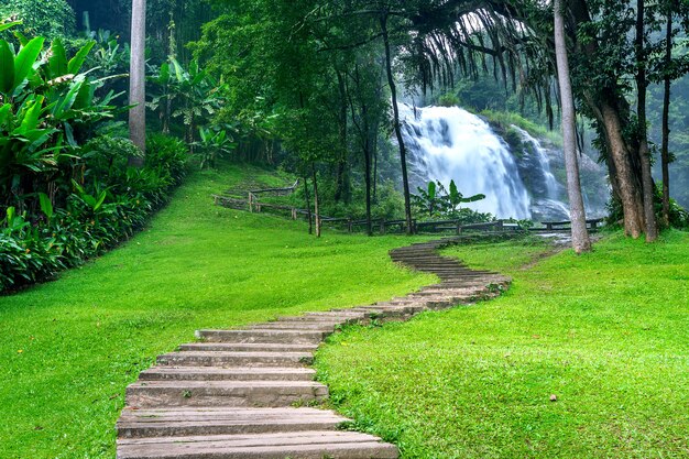 Waterval in de natuur, Thailand.