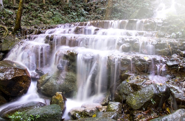 Waterval in diep regenwoud (Mae Kampong waterval in de provincie Chiang Mai, Thailand)